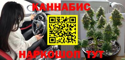 эйфоретик Новозыбков