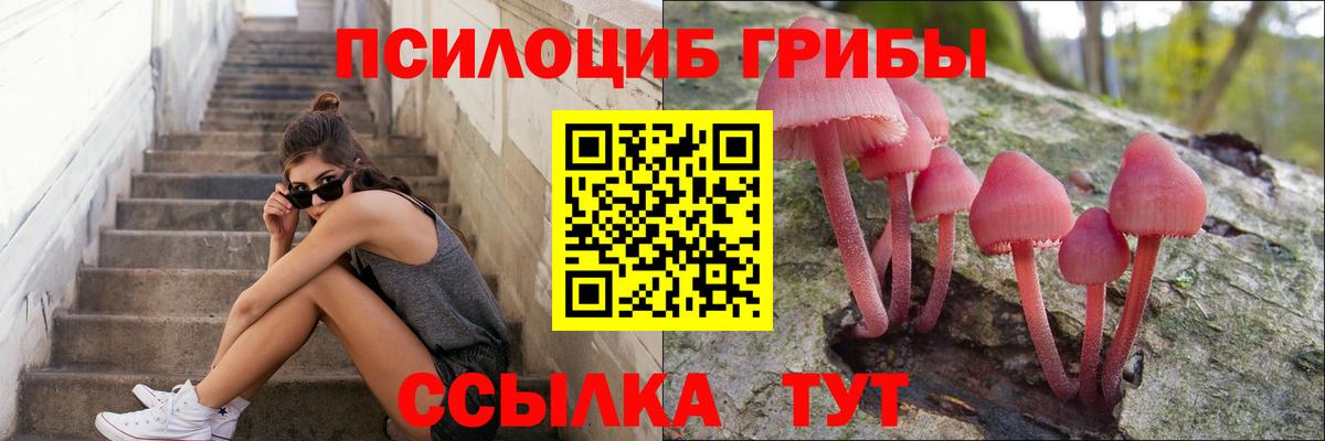 Стрежевой  Псилоцибиновые грибы GOLDEN TEACHER  Вход с VPN 